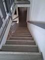 9317 Lamar Street - Photo 7