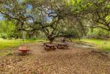 28750 Underwood Road - Photo 16