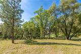 1 Oak Lane - Photo 40