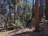 24355 Albrun - Photo 17