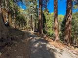 24355 Albrun - Photo 21
