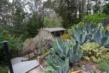 1159 Barcelona Drive - Photo 98