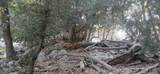 0 Alder Creek Road - Photo 3