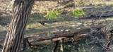 0 Alder Creek Road - Photo 4