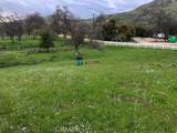 0 Lupine Drive - Photo 22