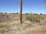 0 Hesperia - Photo 4