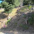 0 Woodrow Drive - Photo 7