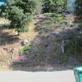 0 Woodrow Drive - Photo 8