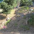0 Woodrow Drive - Photo 9