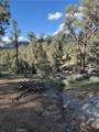 96484 Kennedy Meadows Road - Photo 31