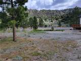 0 Spruce - Photo 9