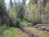 53309 Road 432 - Photo 2