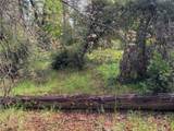 53309 Road 432 - Photo 3