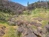 0 Ponderosa - Photo 15