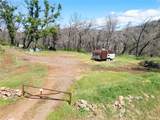 0 Ponderosa - Photo 16