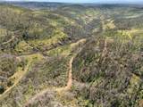 0 Ponderosa - Photo 9