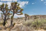 101 Hondo Street - Photo 13