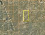 101 Hondo Street - Photo 4
