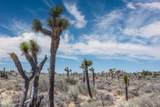 101 Hondo Street - Photo 7