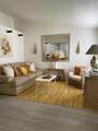 40880 Whirling Wind Drive - Photo 1