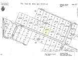 46042210 Fremontia - Photo 4