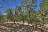 27588 Matterhorn Drive - Photo 7