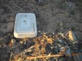 2600 Ave O - Photo 7