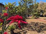 3328 Roosevelt Street - Photo 1