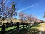 3470 Ranchita Cyn Rd - Photo 64