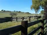 3470 Ranchita Cyn Rd - Photo 7