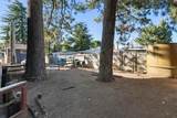 30028 Canvasback Drive - Photo 10