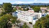 4950 Louise - Photo 42