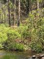 39 Anderson Valley Road - Photo 19