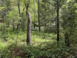 39 Anderson Valley Road - Photo 8