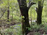 39 Anderson Valley Road - Photo 9