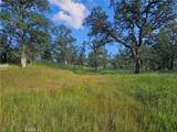 15566 Joseph Trail - Photo 11