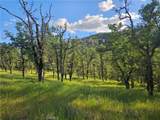 15566 Joseph Trail - Photo 20