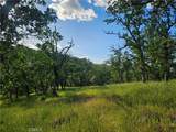 15566 Joseph Trail - Photo 24