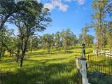 15566 Joseph Trail - Photo 31