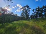 15566 Joseph Trail - Photo 6