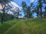 15566 Joseph Trail - Photo 8