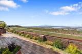 1564 Eucalyptus - Photo 38