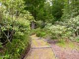 33100 Frog Pond Road - Photo 48