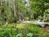 33100 Frog Pond Road - Photo 49