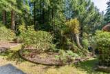 33100 Frog Pond Road - Photo 51