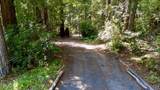 33100 Frog Pond Road - Photo 6