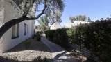 45451 Lupine Lane - Photo 35