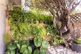 210 Via San Blas - Photo 20
