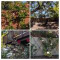1912 Oak Knoll Drive - Photo 46