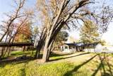 9720 Encina - Photo 6